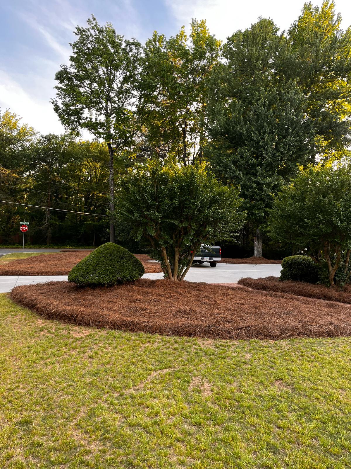 Mendez Tree Services And Landscaping LLC